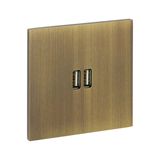 67322 Art d'Arnould universe Epure double USB socket 3A - bronze