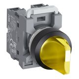 ESPD1R/LCD/415 module