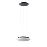 LED-1L61C03ZLE11/462/L100 C 3000