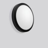 ROUNDED, 10 W, 800 lm, 830, 840, anthracite, on/off Ceiling and wall l