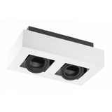 Ceiling fixture ASTER, AC220-240V, 50/60 Hz, GU10, max.20W * 2, IP20, aluminum, double, white