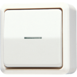 1-gang switch 10 AX / 250 V ~ with ind. 606KO5A