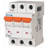 Miniature circuit breaker (MCB), 63 A, 3p, characteristic: C