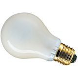 Incandescent Bulb A55 110V 100W Е27 frosted Bellight