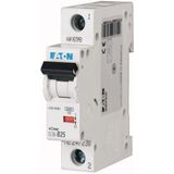 PL6-C40/1 Miniature circuit breaker (MCB), 40 A, 1p, characteristic: C