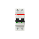 S202M-B20 Miniature Circuit Breaker - 2P - B - 20 A