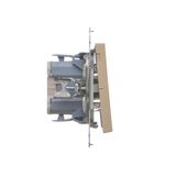 Two-way switch with LED illumination - separate backlight for each key, (module), Simon 24, IP20, 10AX, graphite mat