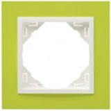 SINGLE FRAME GREEN/ICE