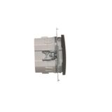 Two-pole switch, (module), 10AX, quick connection, white