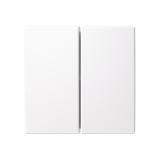 5-switch rockers, blank
