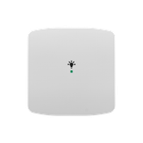 Rocker, 1gang, with “Light” icon