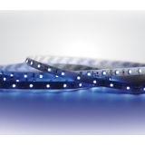 LED STRIP 24vDC BLUE 5m ROLL 4,8w/m IP20