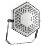 ESALITE FL - 20K - 30° OPTIC - DALI - 4000 K (CRI 80) - IP66 - CLASS I - RAL 9006 GREY