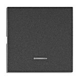 Rocker S 50 with tranparent control window, anthracite