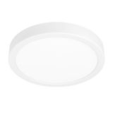 ARGOLIS 2 surface-mounted light 900277
