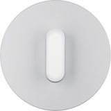 Cover plate with toggle, Series R.classic, aluminium polar white