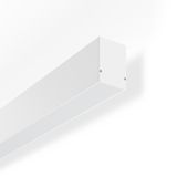 LESS IS MORE 50, 15 W, 1950 lm, 830, white, on/off Wall luminaires, L 