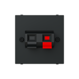 N2257.1 NT - Speaker terminals