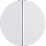 Button 2gang, R.1/R.3/1930/R.cl., p. white glossy