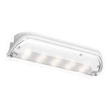 Emergency lumianire Exit swift 3W IP65 wall ASWTLED/3M Ansell