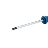 Screwdriver TX40X125