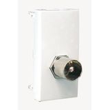 MOD W/1 IEC MALE/TYPE F CONNECTOR-1 MOD WHITE