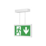TYLIUS LED AL 102 M3h lamp for emergency and orientation