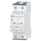 Miniature circuit breaker LTN-80B-2