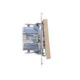 Double socket outlet with earthing for IP44 version with frame seal, with shutters, (module), Simon 24, IP20/IP44, 16A, black matt, Flap color: Same as a cover