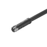 Power cable, One end without connector, M12, Number of poles : 4, 3 m, Female socket, straight, Shielded: No, LED: No, Sheath material: PUR, Halogen: No
