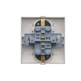 Double Keystone flat IT/telephone socket cover, (module), Bronze matt, metalic