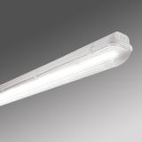 LINDA BASIC LED 1x23W, 4000K, 3435lm, IP65, grey, L=1570mm