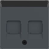 KeyStone 2-way central plate, dust protection, text field, A.x/C.x anthracite.