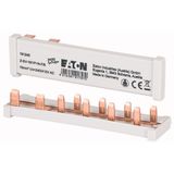 Z-SV-16/1P+N-F/6 Busbar, 1Ph, 16qmm, 6 module