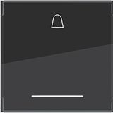 Swing 1-v, bell symbol, large text field, clear lens, A.x/C.x, black glass.