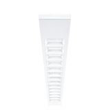 CLEVO MSC 3400-830 L1580 LDO WH WHM - LED surface-mounted luminaire