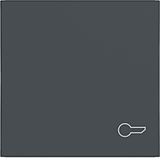 Single rocker, door opener symbol imprint, A.x/C.x, anthracite