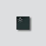 TLM 61x-01, BTLM 650-... SH Light button with light symbol