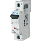 Miniature circuit breaker (MCB), 40 A, 1p, characteristic: C