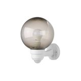 PARK S prism. smoke 60W