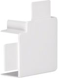 flat angle hal free LFxxx 30x45 pwhite