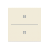 ESP RF module 111621