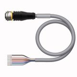 Actuator and Sensor Cable, PVC Connection Cable   RKS8T-5/TEG