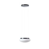 LED-1L14B07ZLE11/416/L100 C 3000