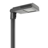 THEOS GLASS MINI 62 SR/100 730 DALI NEMA