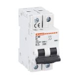 Miniature circuit breaker, 2P - 10kA. 2 modules, characteristic D, 1A