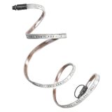 OUTDOOR FLEX 10M RGB IP65 RC LEDV