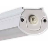 TN3134MBFAA21 LED IP21 41W/840 ACF