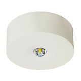 Emerg.lum.IL 1x3W ERT-LED 3h 230V AC Wireless radial surface