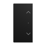 2-way rocker switch left/right, with "Blind" symbol Busch-balance® SI